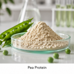 Pea Protein
