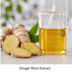 Ginger Root